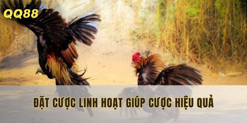 Quản lý vốn, áp dụng mẹo linh hoạt