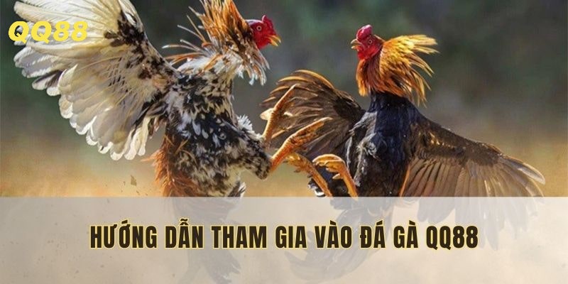 Thực hiện 5 bước đơn giản để vào sảnh